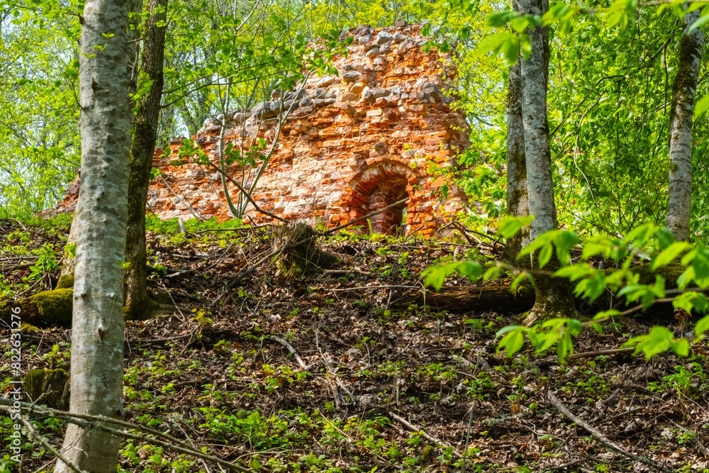 Decayed Brick Structure in Overgrown Forest Decayed Brick Structure in Overgrown Forest