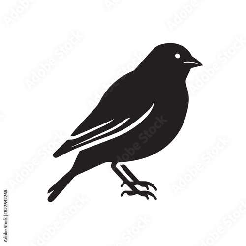Finch in cartoon, doodle style . Image for t-shirt, web, mobile apps and ui. Isolated 2d vector illustration in logo, icon, sketch style, Eps 10, black and white. AI Generative © Alexey