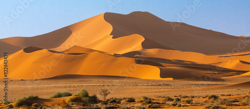 Panoramic view of the Namib Dune photo