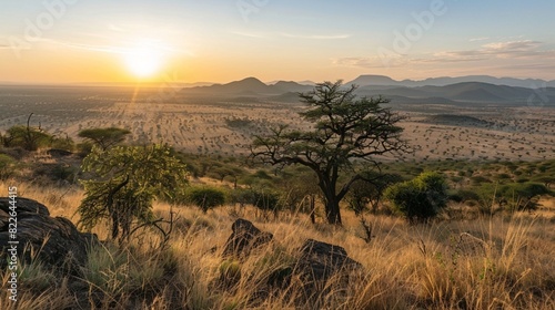 Scenic view of landscape at Serengeti National Park during sunrise
