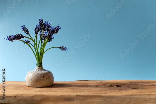 bouquet of Grape hyacinths in a gray vase