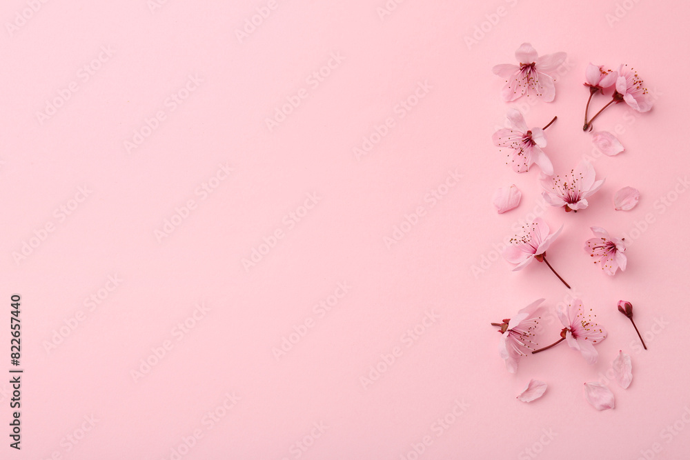 Beautiful spring tree blossoms and petals on pink background, flat lay. Space for text Beautiful spring tree blossoms and petals on pink background, flat lay. Space for text