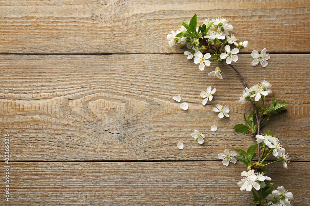 Spring branch with beautiful blossoms, leaves and petals on wooden table, top view. Space for text Spring branch with beautiful blossoms, leaves and petals on wooden table, top view. Space for text
