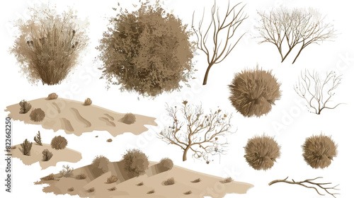 Detailed botanical illustrations of tumbleweeds and wild grasses - perfect for vintage and rustic themes photo