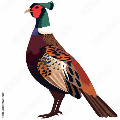 Pheasant in cartoon, doodle style. Image for t-shirt, web, mobile apps and ui. Isolated 2d vector illustration in logo, icon, sketch style, Eps 10. AI Generative