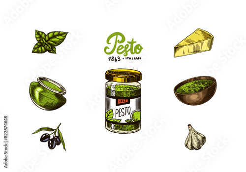 Pesto sauce set. Basil leaves, garlic, pine nuts, hard parmesan cheese, olive oil, pesto alla genovese. Spicy condiment, glass bottle, wooden spoon or dish, bunch of seeds. Engraved hand drawn sketch.