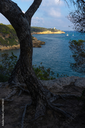 Fonda beach (Cala Fonda) and La Marquesa pine forest with the Mora tower and the cliffs in the background in a sunny day. Tarragona, Catalonia, Spain.