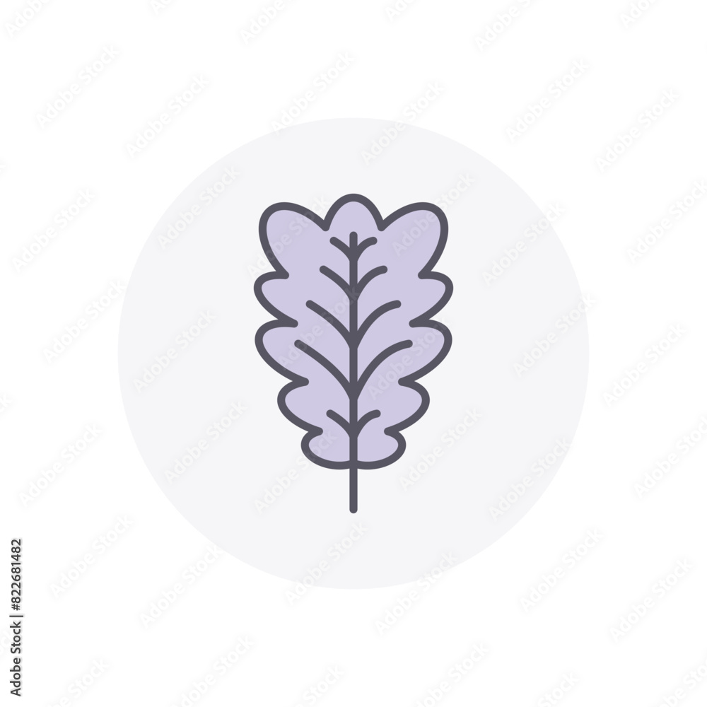 oak leaf oak leaf