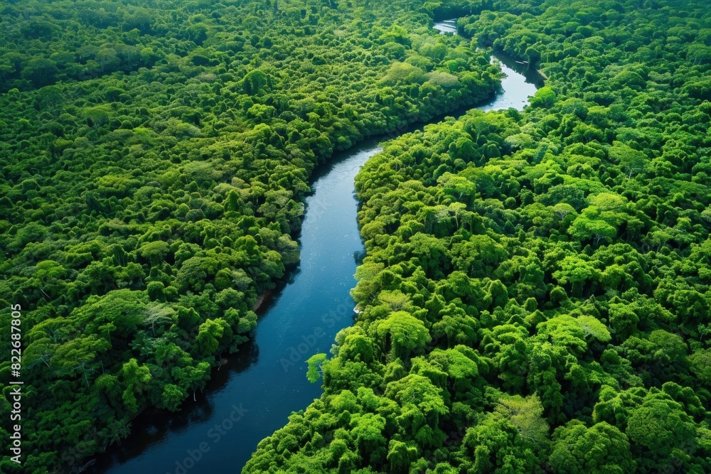 A lush green forest with a river running through it A lush green forest with a river running through it