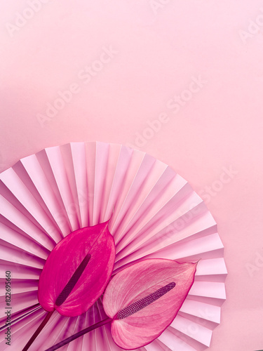 Elegant arrangement of vibrant pink anthurium flowers on a pleated paper fan against a soft pink background. ideal for design projects  print materials  or posters.