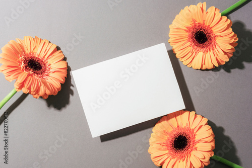 Three yellow gerbera flowers and blank card on gray background with sharp shadows. Top view, flat lay, mockup