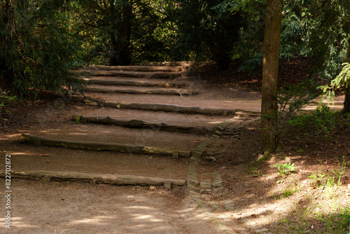 A forest path leading up wooden steps with dense green trees and shrubs, an atmosphere of seclusion and tranquility. Tourist and hiking routes. Ecotourism in nature reserves and national parks.