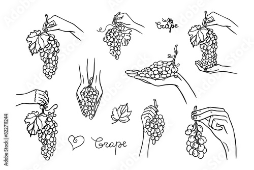 Large set of grapes in hands, a bunch of grapes in a hand, a vine and grape leaves. Vineyard. Winery. Vector illustration in doodle style. Hand drawn. Isolated on white background