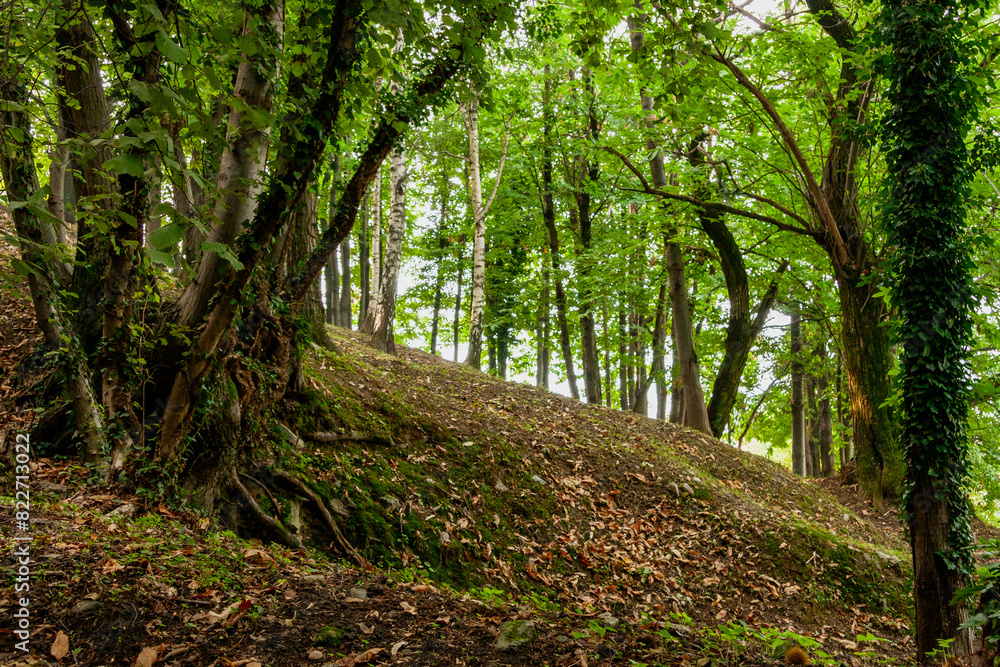 Obraz premium Monte Isola, Lake Iseo, Lombardy, Italy