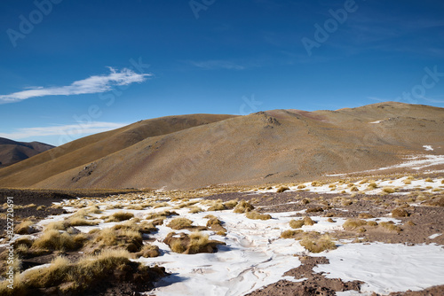 Ruta a Monte Pissis photo