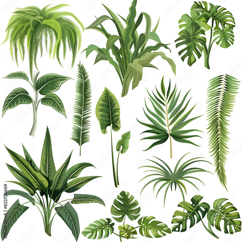 Obraz premium A vibrant and dense jungle vegetation set isolated on a white background. Perfect for nature-themed designs, tropical events, and environmental presentations.