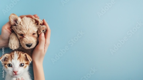 Web banner with puppy and kitten in veterinarian doctor hands at animal clinic copy space Female vet doctor holding cute ginger puppy and kitten Vet examining Pet check dog and cat hea : Generative AI photo