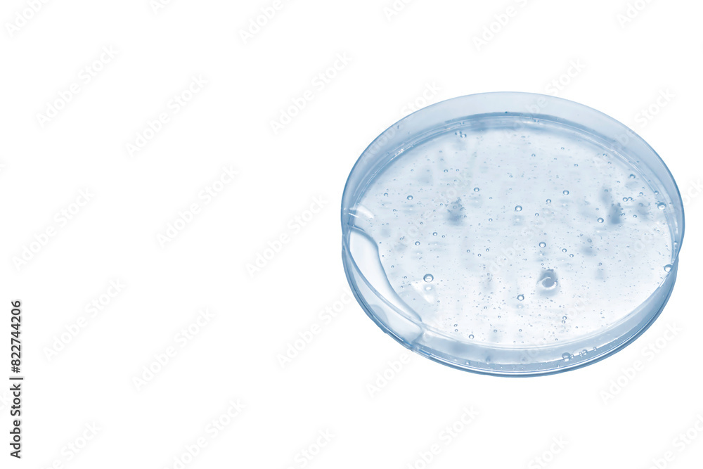 Clear agar, liquid in petri dish isolated on white background. Cell culture , Labology for case study more use. Clear agar, liquid in petri dish isolated on white background. Cell culture , Labology for case study more use.