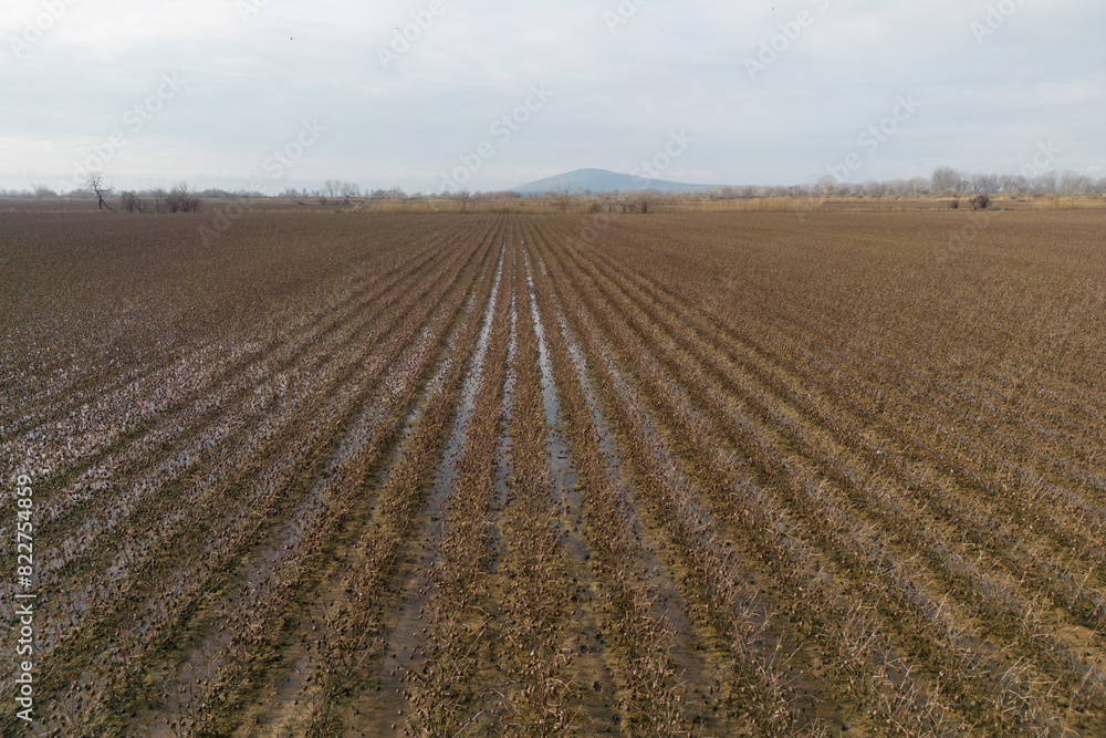 aerial view of flooded field in Greece aerial view of flooded field in Greece