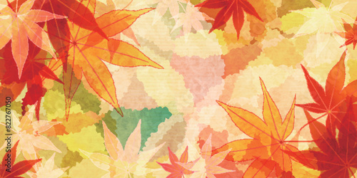 紅葉　葉　秋　背景	