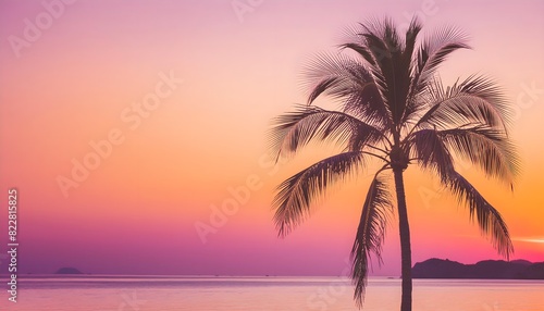 Beautiful sunset on a beach  tropical palm trees