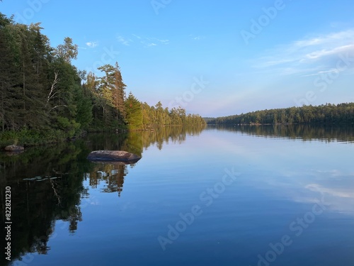 reflection of trees in the lake