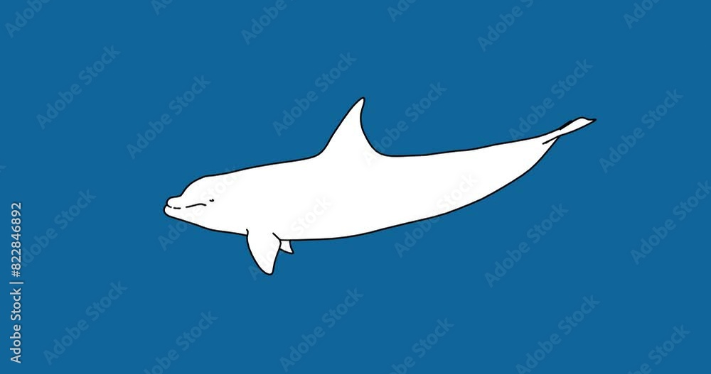 Dolphin swimming in line art animation on a blue background in 4k and HD, ocean life, black outline Dolphin swimming in line art animation on a blue background in 4k and HD, ocean life, black outline