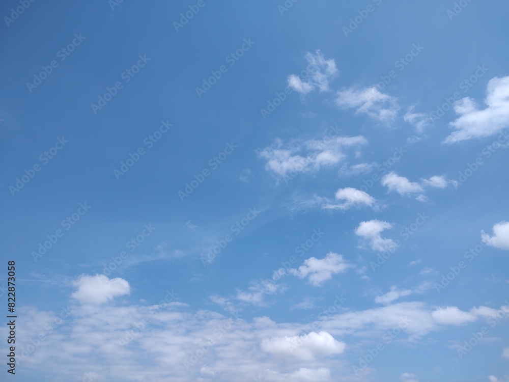 Fototapeta premium 東京のそら(24.5.22)