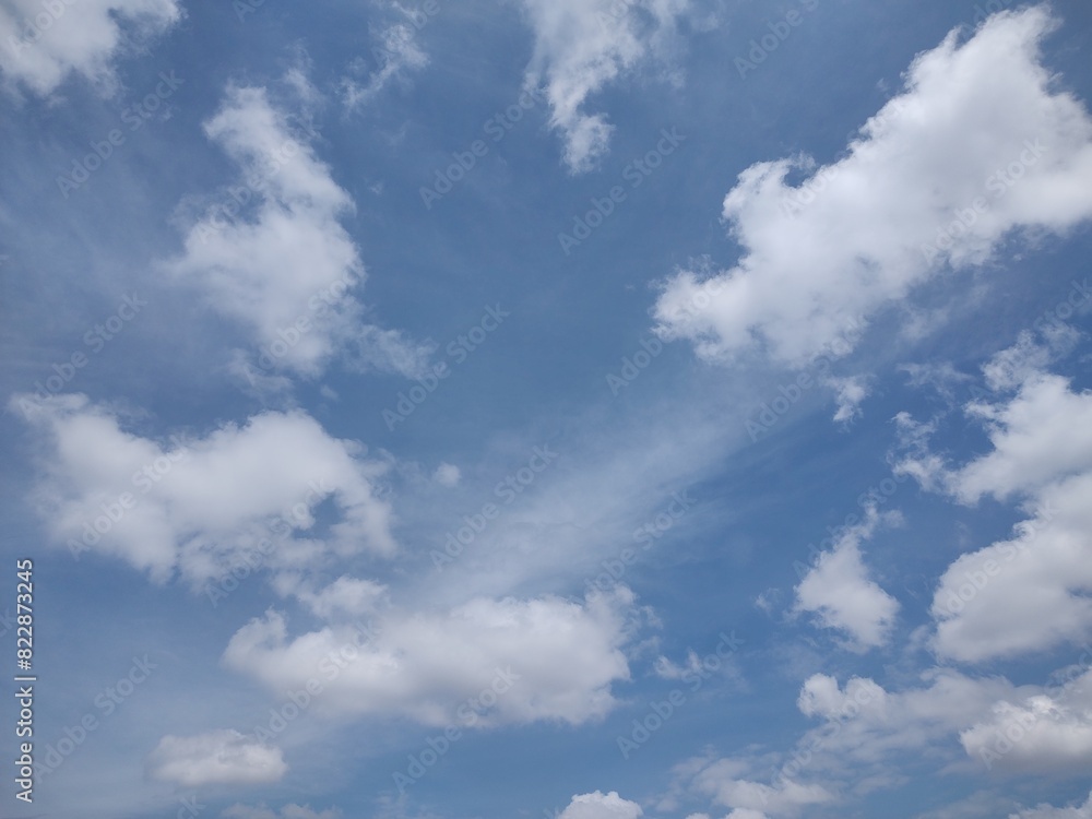 Naklejka premium 東京のそら(24.5.22)