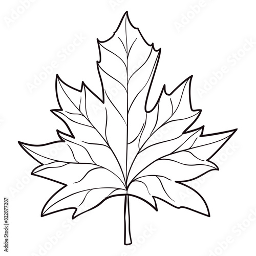 Maple leaf in black outlines for coloring activities, Vector illustration