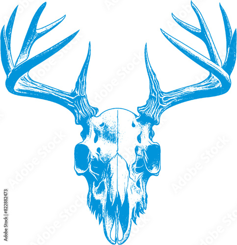 deer skull vector, animal skull vector