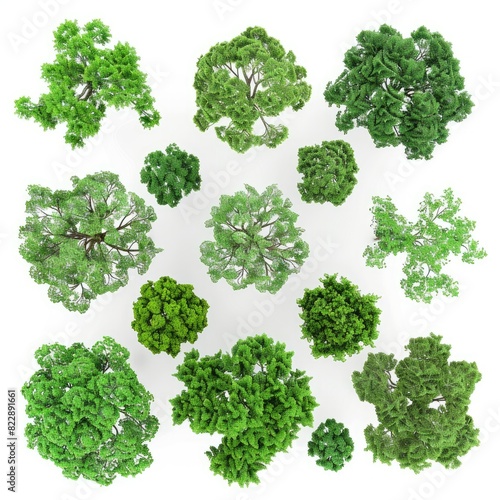 Cutout top view trees set landscaping 3d render isolated on white background   