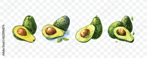 Avocado fruit watercolor isolated transparent objects