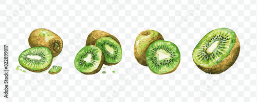 Kiwi fruit watercolor isolated transparent