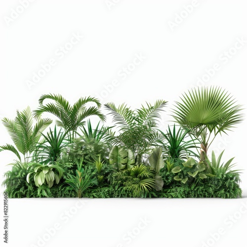 Greenery tropics shrubs row cutout 3d render isolated on white background    