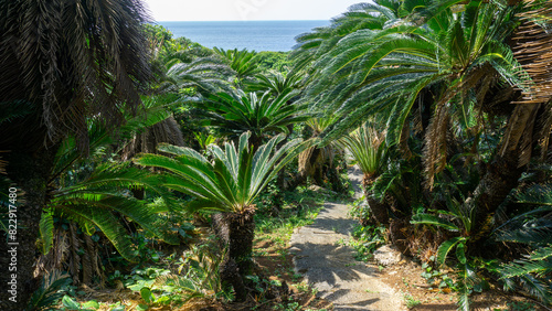 沖永良部島の自然、観光、遊びどころ
