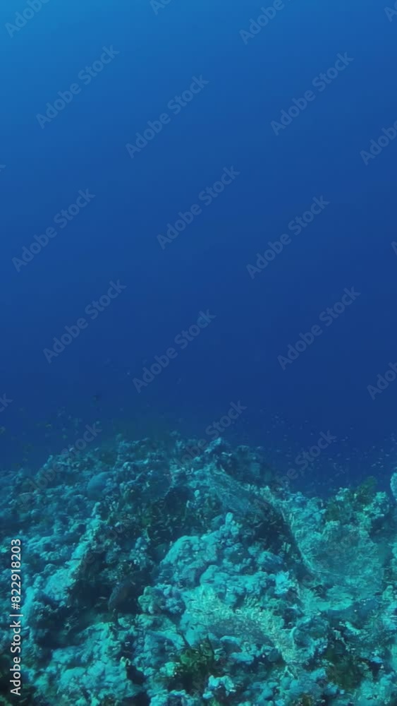 A rocky ocean floor with a blue sky above. The water is calm and clear, and the rocks are scattered throughout the area A rocky ocean floor with a blue sky above. The water is calm and clear, and the rocks are scattered throughout the area