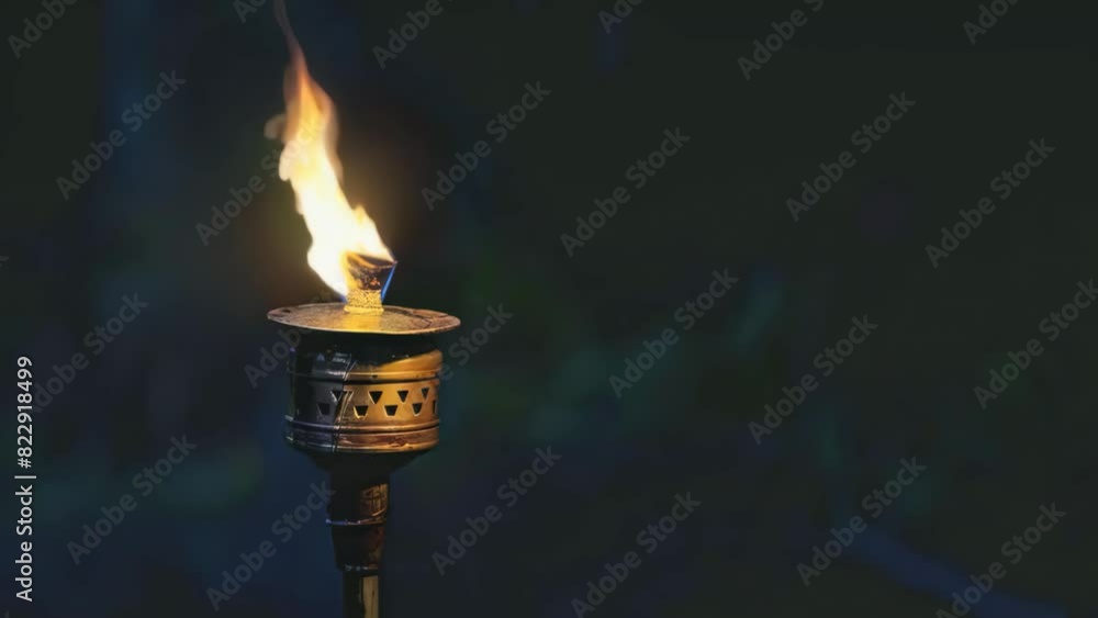 Torch Flame Against Dark Background
Torch Flame Against Dark Background