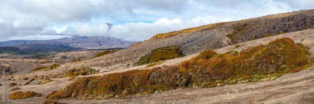 Obraz premium Tongariro Northern Circuit: a world-famous trek in New Zealand’s North Island. This Great Walk offers dramatic volcanic landscapes, scenic views, and iconic spots