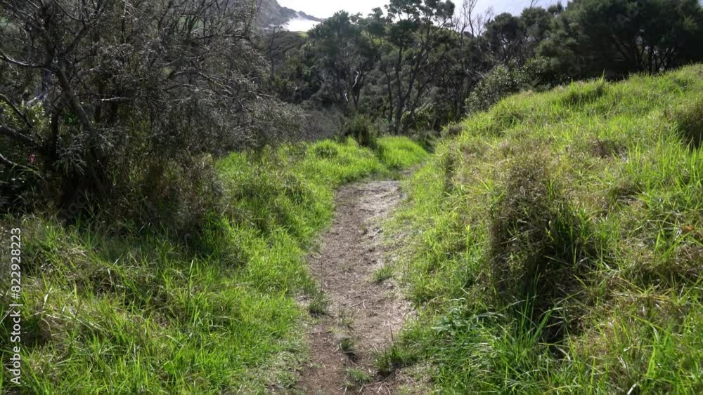 Hiking trails in the Bream Head (Te Whara) Scenic Reserve, may 2024, new zealand, Hiking trails in the Bream Head (Te Whara) Scenic Reserve, may 2024, new zealand,