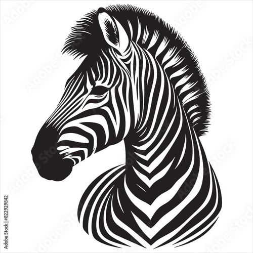 Zebra black   white silhouette vector with white background