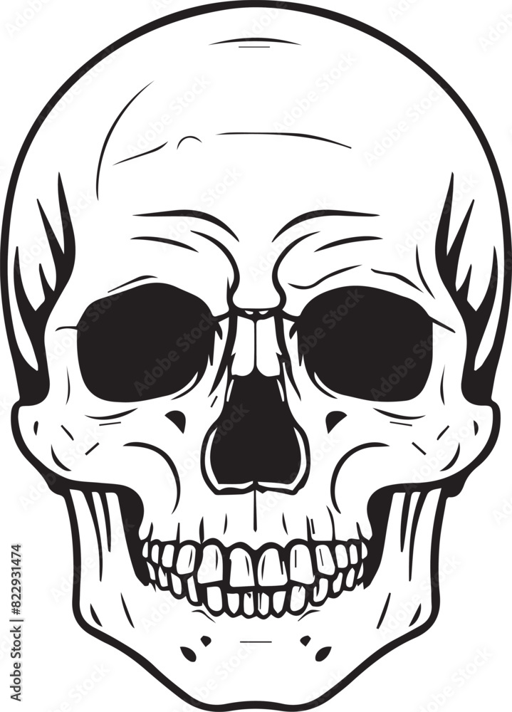 Fototapeta premium Human Skull Black Shallotte 