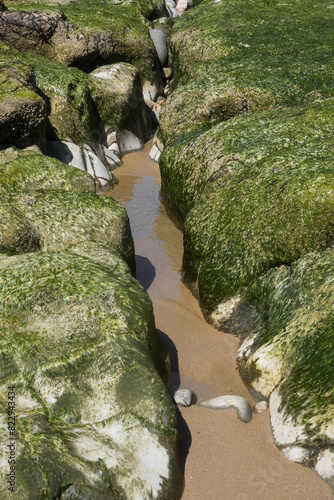 Rock formations along the Pacific coast at Moolack Beach in Oregon. photo