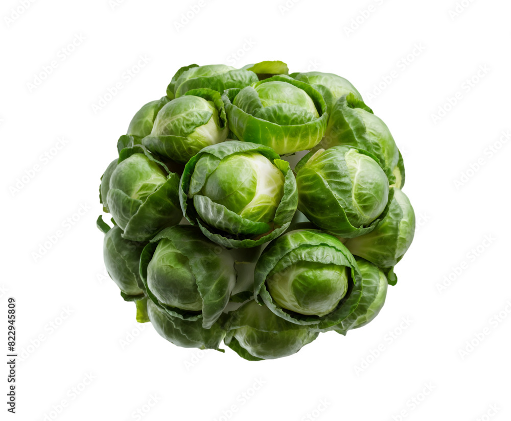 Compact Brussels Sprout isolated on transparent background Ai generative.