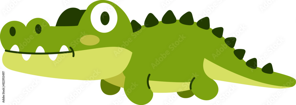 Crocodile Baby Crocodile Baby