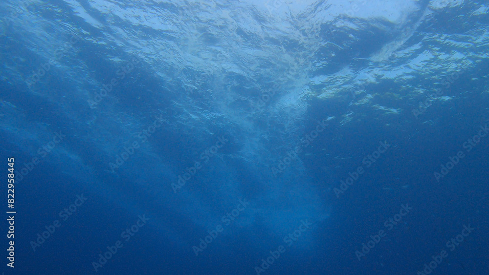 Fototapeta premium Underwater Light in the Deep Blue