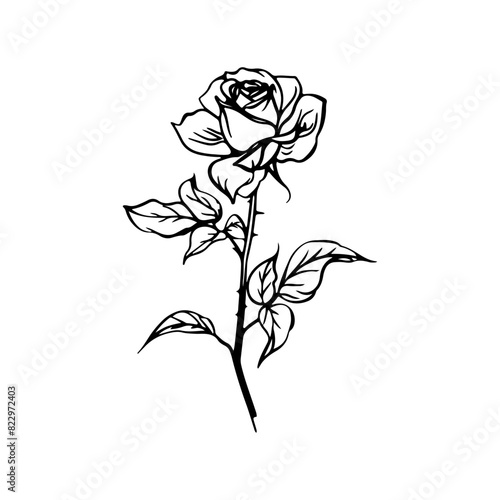 rose silhoutte line 