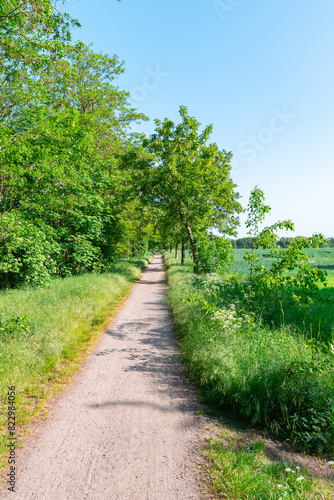 Sommer22220524b