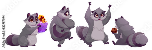 Racoon cartoon character with various face expressions. Comic grey and black wild animal mascot with wrapped gift box, sneak and hold tail with paw, frightening with hands up, sitting with cookie.