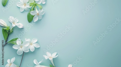 Flower Flat On Light Blue Background Serene Elegant Background